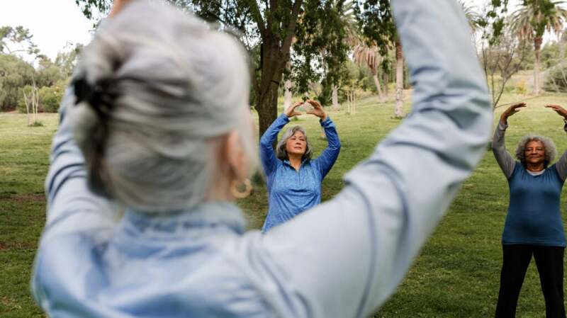 A group of older adults stand in a park and stretch their arms in synchronization.