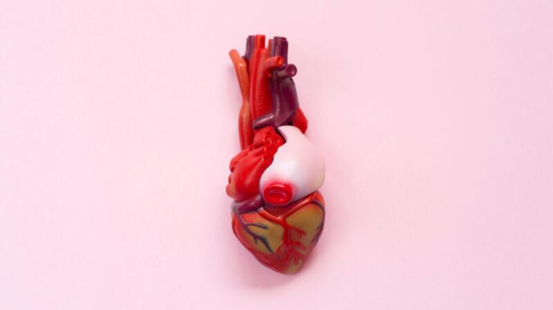 there is a model of a heart on a pink background