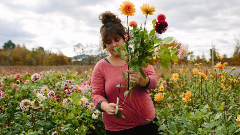 a florist is in a field