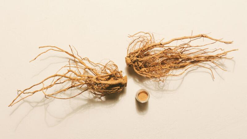 there are ashwaganda roots against a beige background