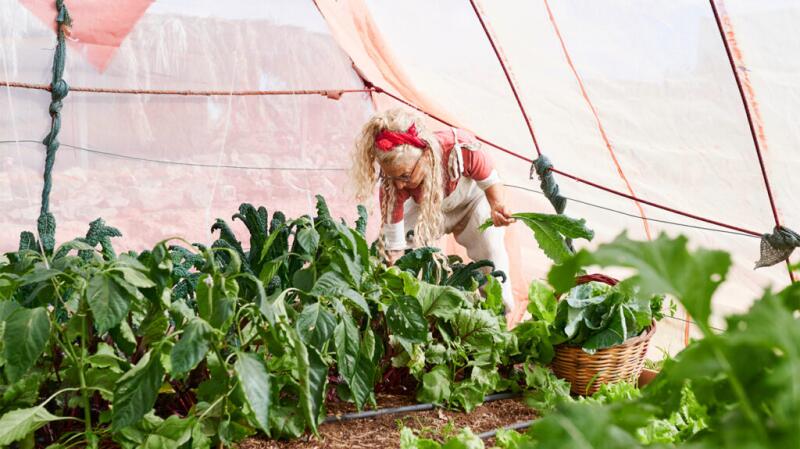 a woman is gardening in a greenhouse