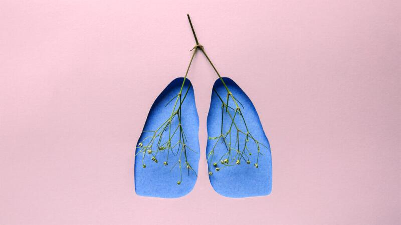 A conceptual picture of the lungs set against a pink background