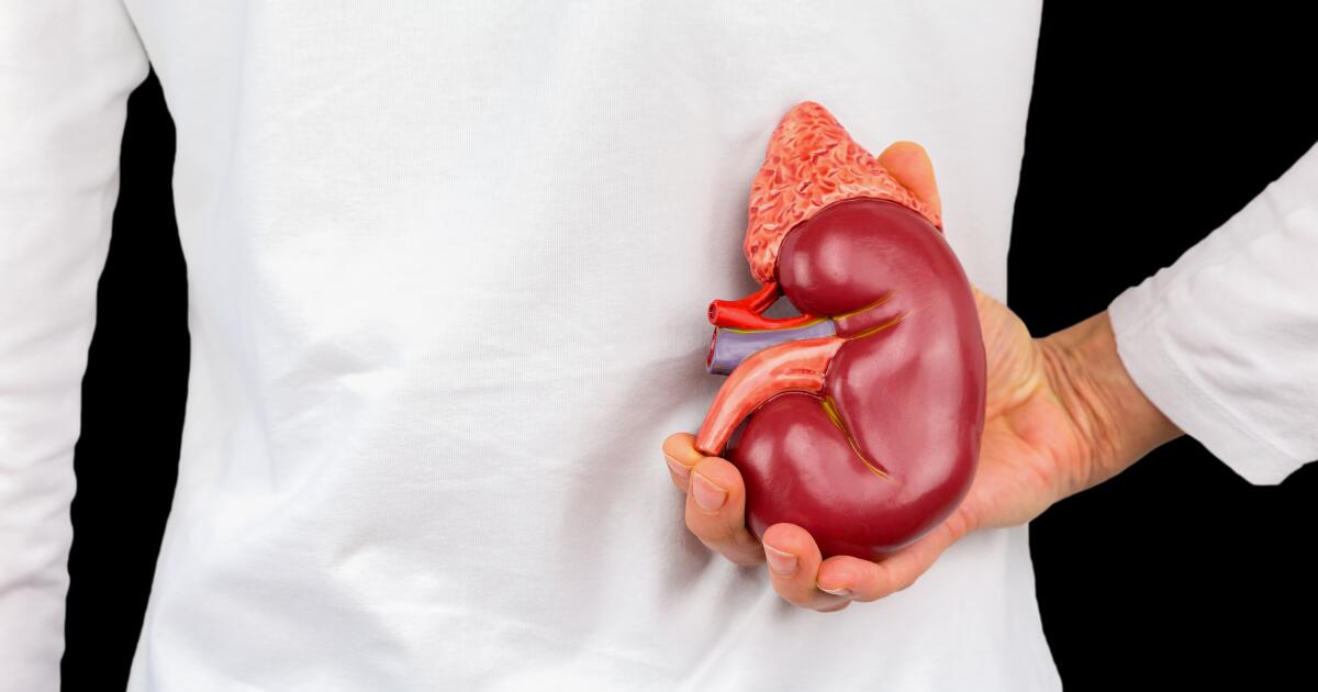 10 Tips for Kidney Removal Surgery Preparation Nephrectomy Prep