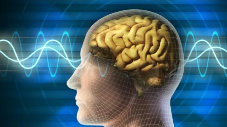 what is eeg test what is eeg test