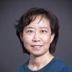 Dr. Ruilin Wang, MD