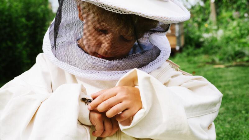 A child in a beekeeping outfit is holding a bee.