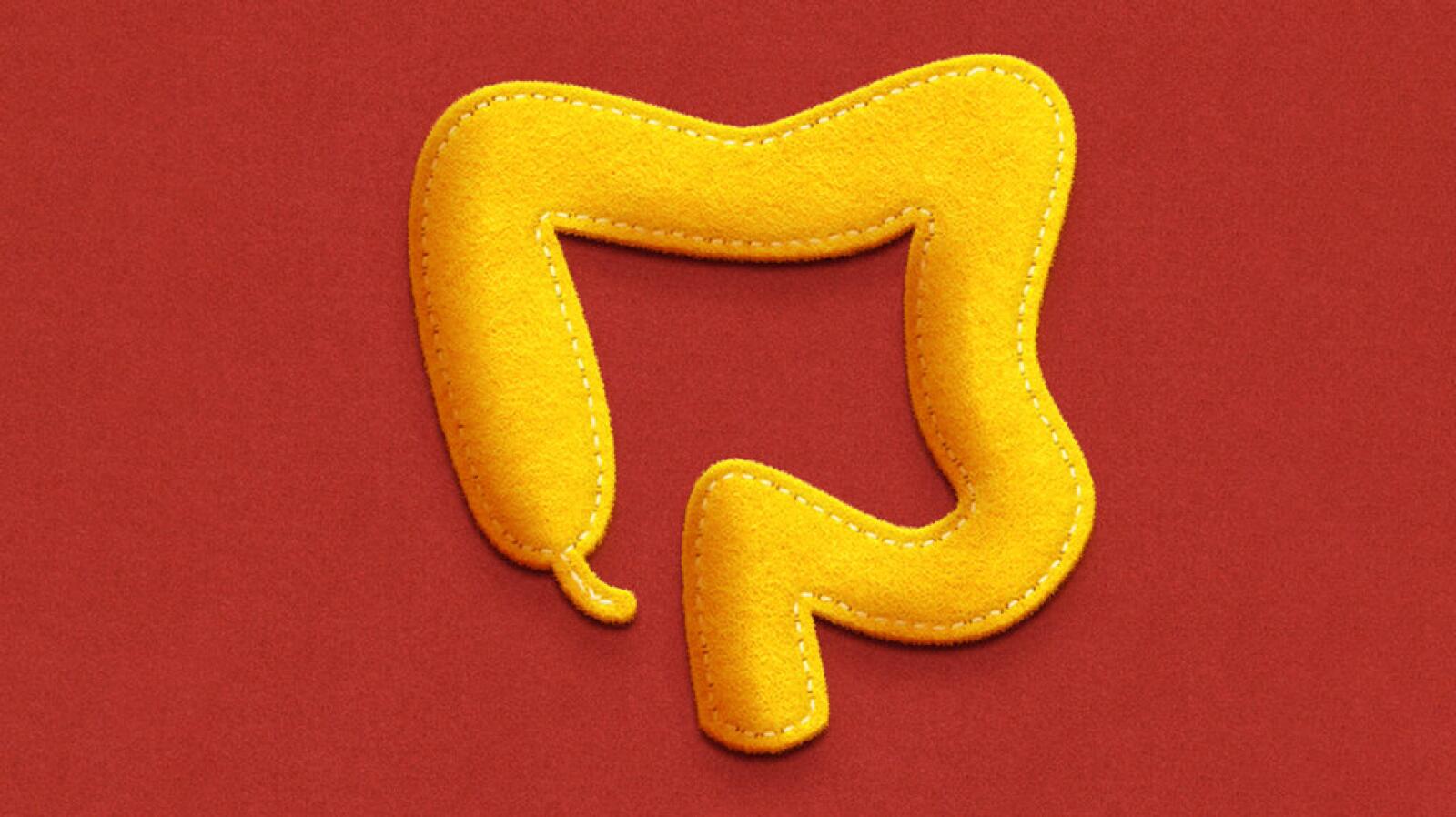 Sigmoid Colon: Function and Location