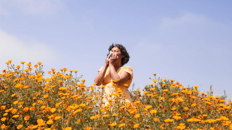 Woman standing in field of flowers blowing nose into tissue