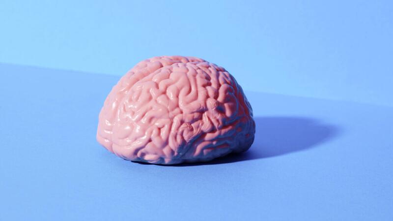 there is a model of a brain against a blue background