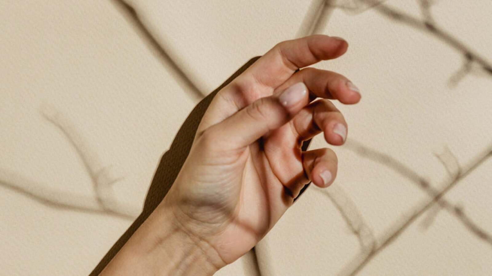 Kidney Disease And Nails Possible Nail Symptoms kidney-disease-and-nails-possible-nail-symptoms