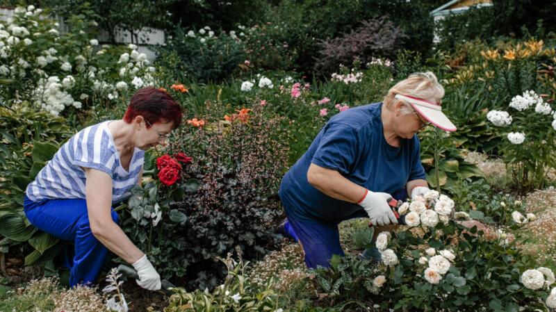 Two adults working in a garden