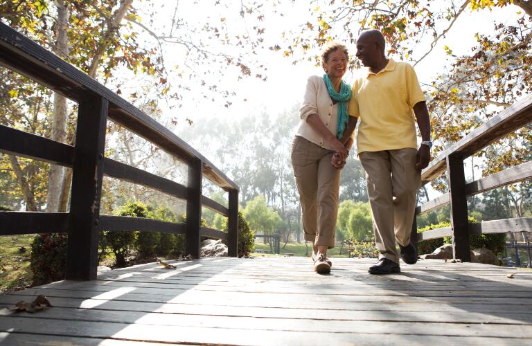 cặp vợ chồng già đi bộ trên cầu