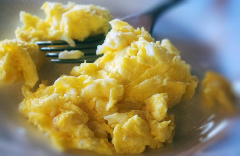 close up of scrambled eggs with fork