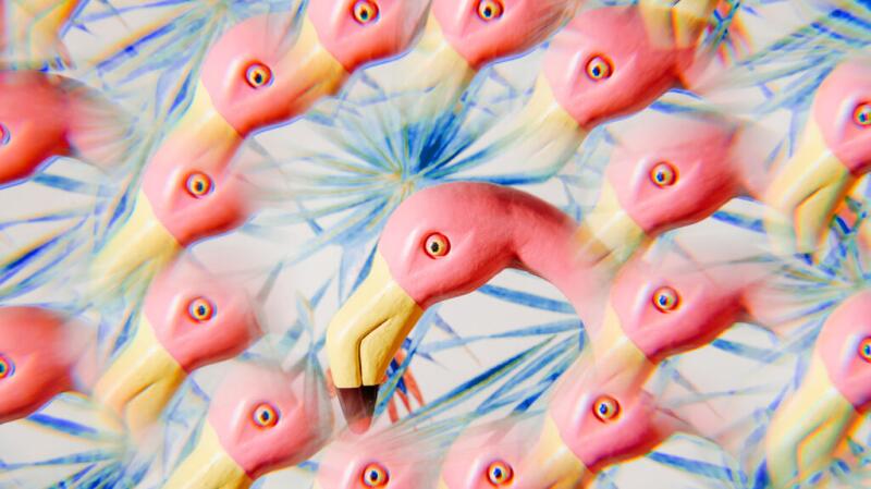 kaleidoscope flamingoes