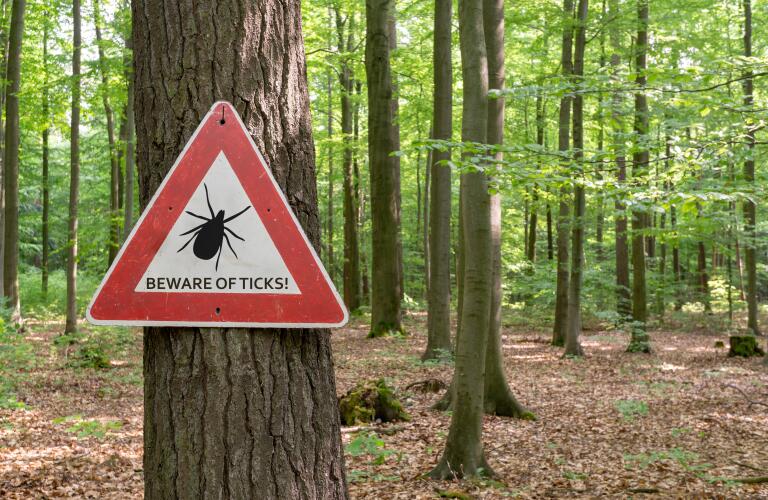 Beware of ticks warning sign in woods