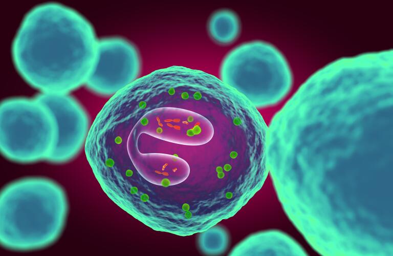 eosinophils illustration