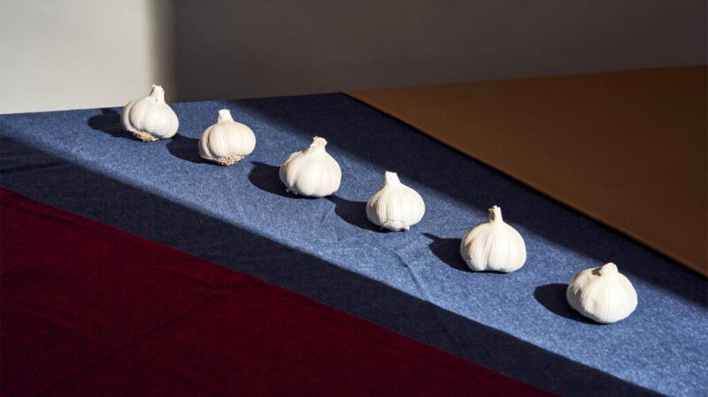 A row of garlic