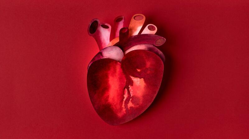 This shows a picture of a heart.