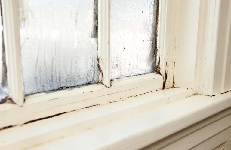 Old window pane with wood damage and mold