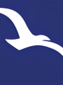 Photo: Dr. Kirsten Kim, MD