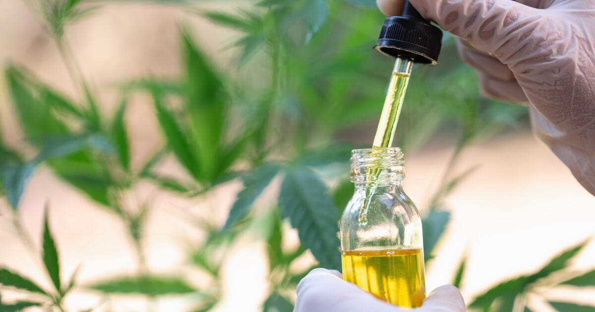 What Is CBD Oil and How Does It Work?