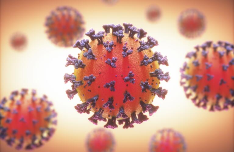 3D illustration of coronaviruses, group of viruses that cause diseases in animals and causes respiratory infections in humans