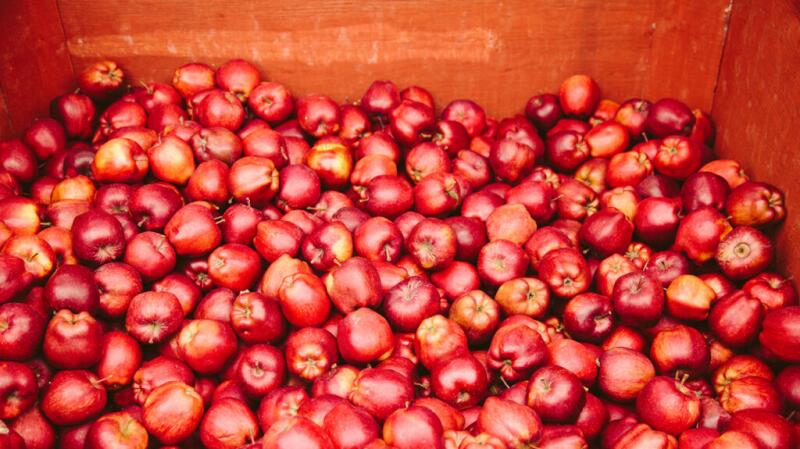 Truck bed full of red applies
