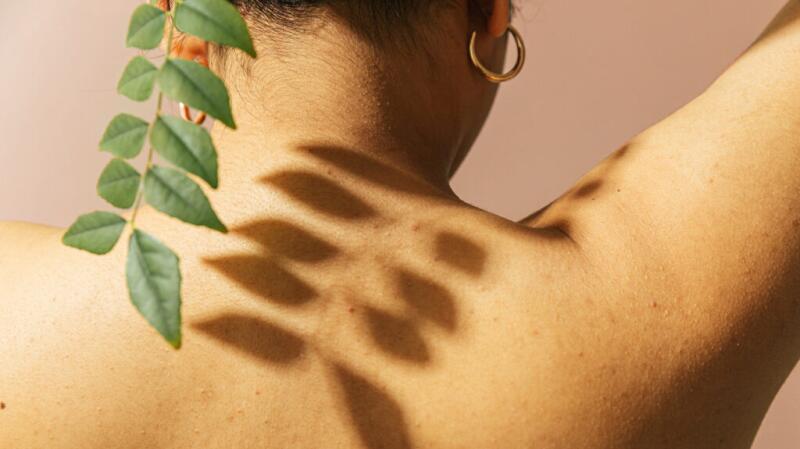 a shadow of leaves on a back