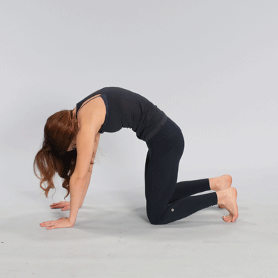 a person is performing cat-cow pose