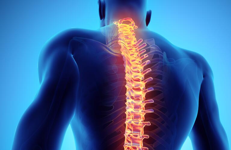 3D-illustration-of-spine