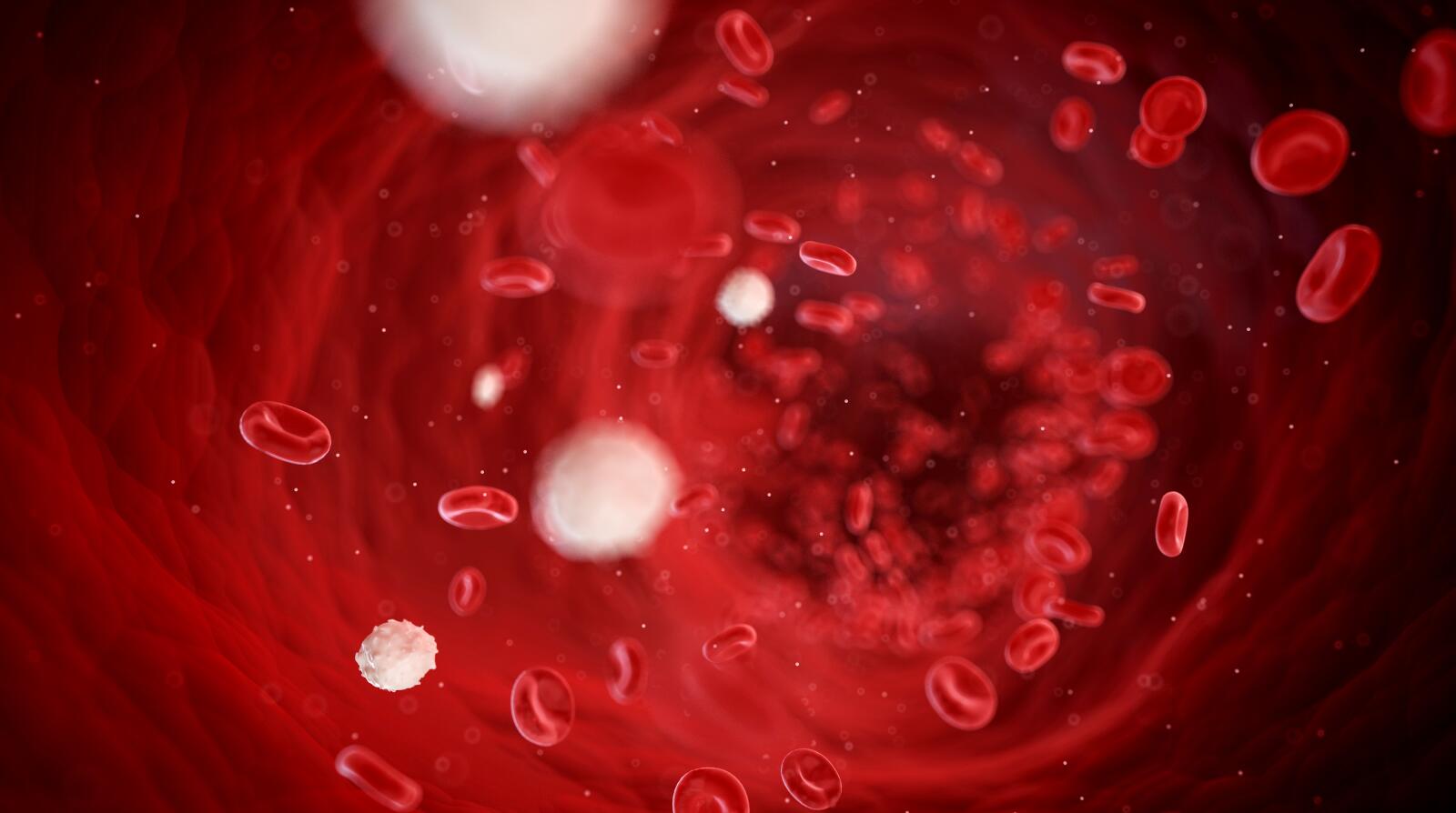 7-rare-diseases-that-affect-the-blood