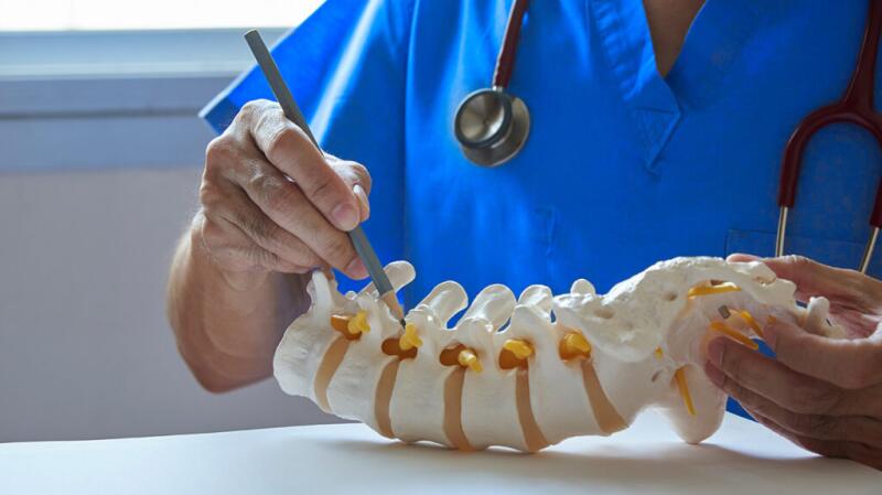 healthcare professional pointing to a model of the spine, intervertebral disc, vertebra, lower spine, nerve root