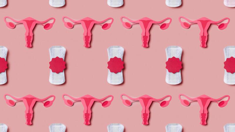 Photo illustration concept of uterus anatomy and menstrual pads