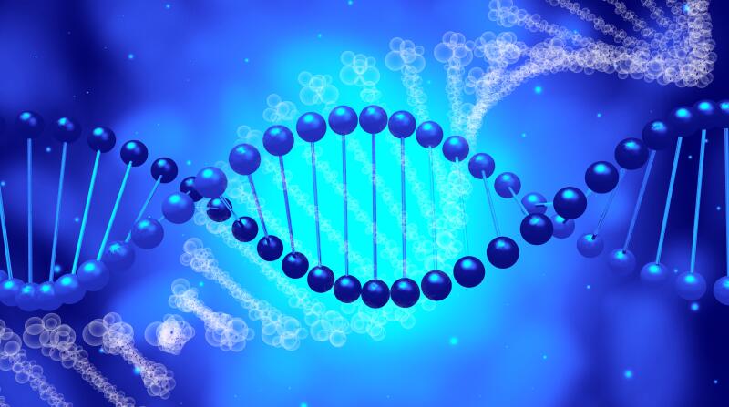 3D DNA