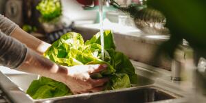 Foods to Avoid When You Have Cancer and more washing lettuce in kitchen