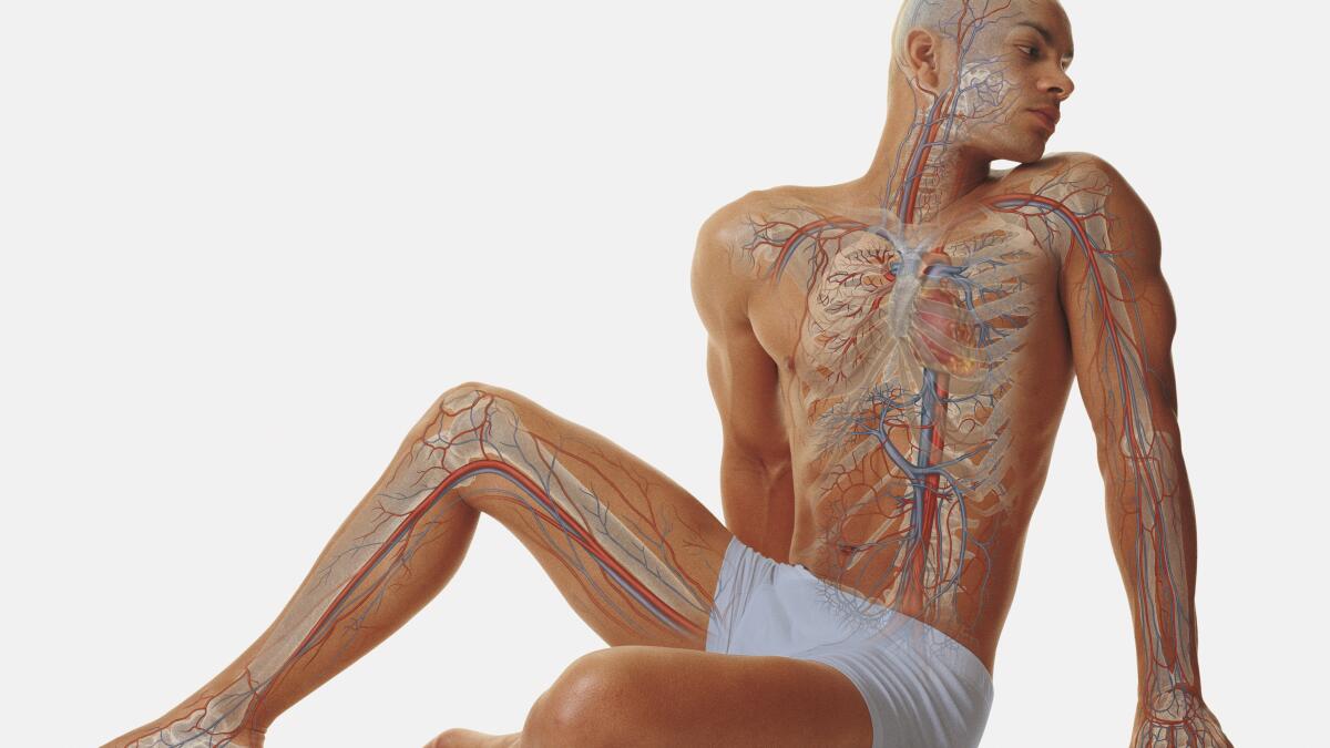 Ignoring Endocrine System Health: Risks and Consequences Ignoring Endocrine System Health: Risks and Consequences