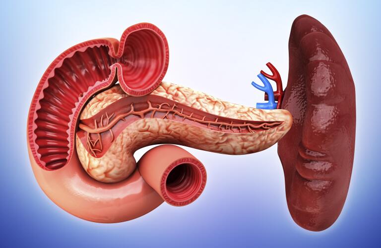 The Importance Of Reducing Spleen Size When Treating Myelofibrosis