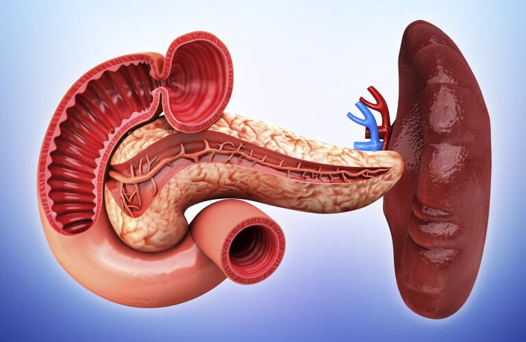 Symptoms and Causes of Enlarged Spleen (Splenomegaly)