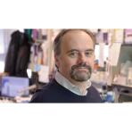 Dr. Marc Ladanyi, MD
