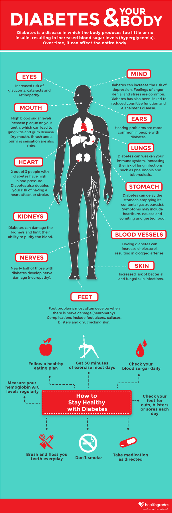 Diabetes and Your Body Infographic Image
