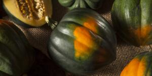 Acorn squash