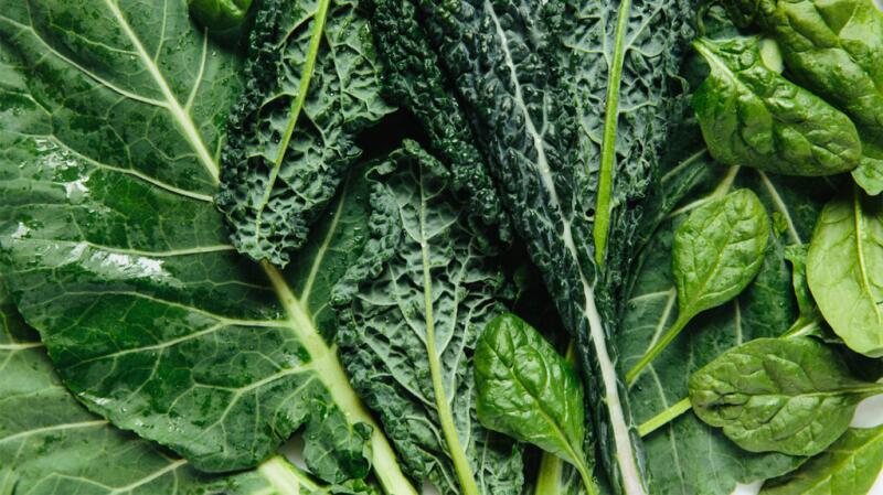 A close-up of different types of spinach leaves.
