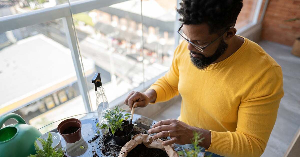 Focal Segmental Glomerulosclerosis: Symptoms, Treatments, and Outlook