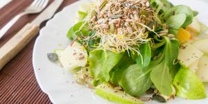 Foods to Avoid When You Have Cancer and more raw bean sprouts on top of salad