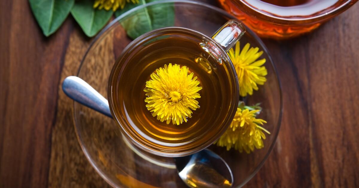 Dandelion Root Benefits & Side Effects Dandelion Root for Weight Loss & Liver Health
