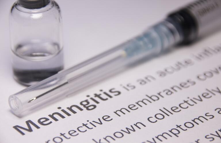 Meningitis Vs Meningococcal Disease What S The Difference