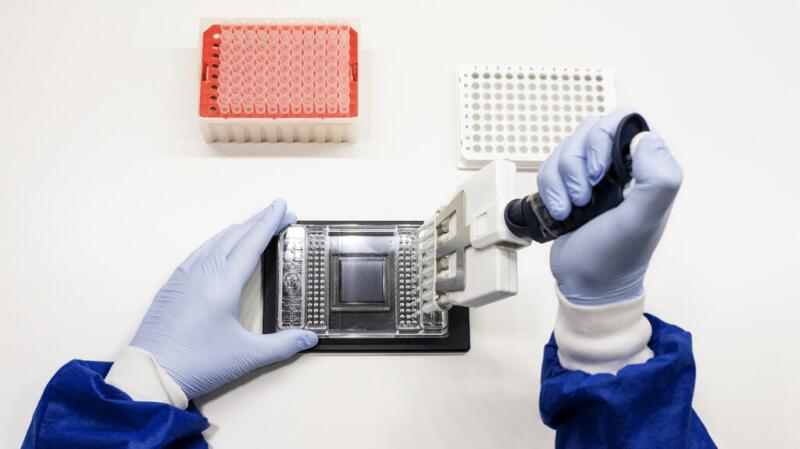 unidentifiable person with gloved hands dispensing DNA samples into a laboratory dish