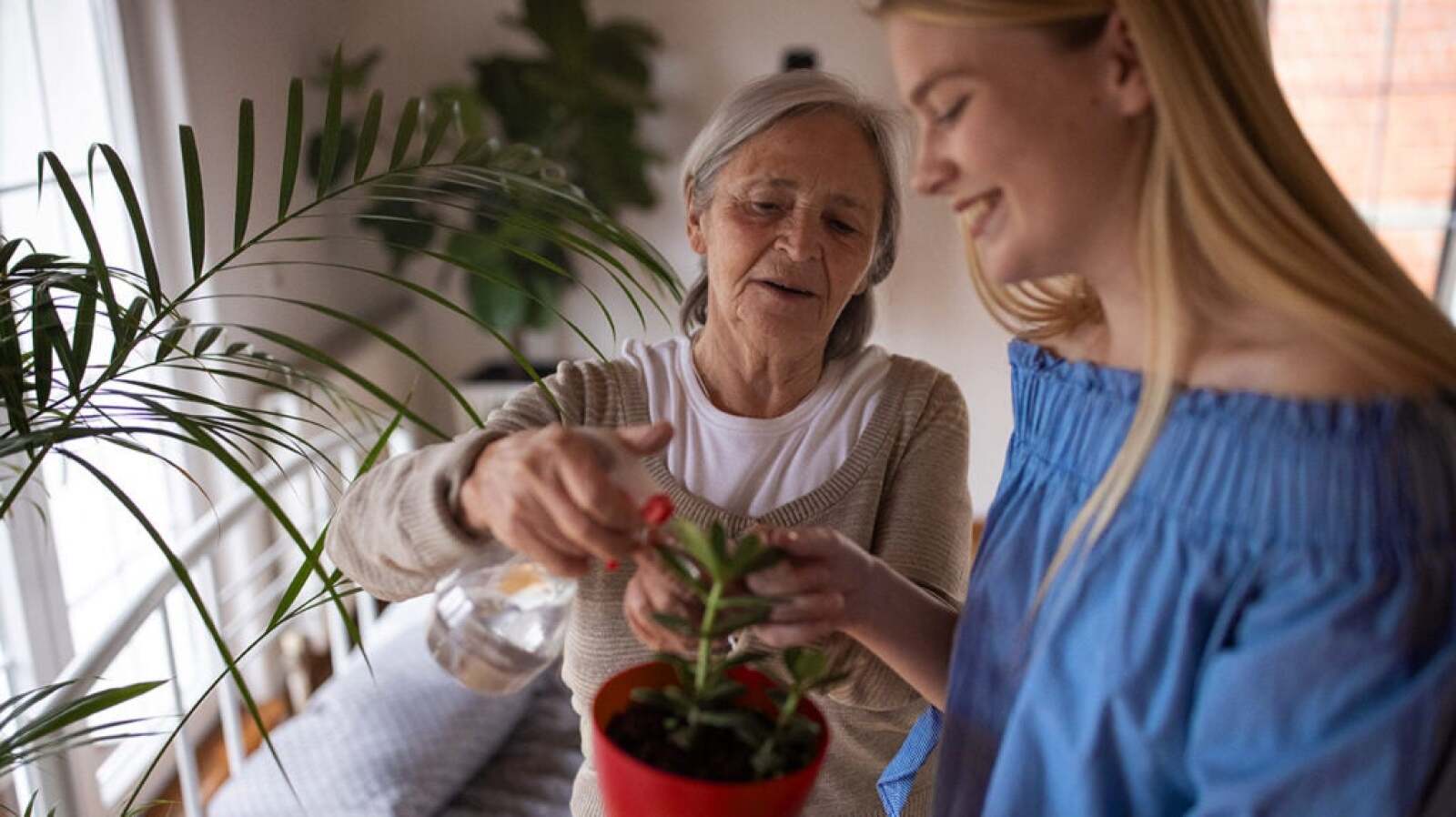 Lewy Body Dementia Life Expectancy Lewy Body Dementia Life Expectancy