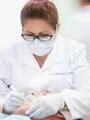 Photo: Dr. Irma Gavaldon, DDS