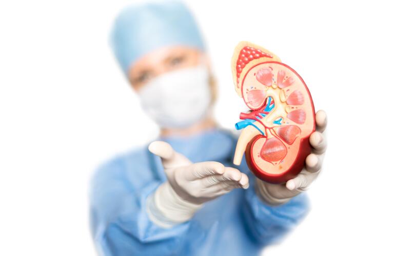 Kidney Care Partners - A Simple Urine Test Can Tell You If You Have Kidney Disease! It's Important To Get Tested Because Early Detection And Treatment Can Slow Or Prevent The Progression